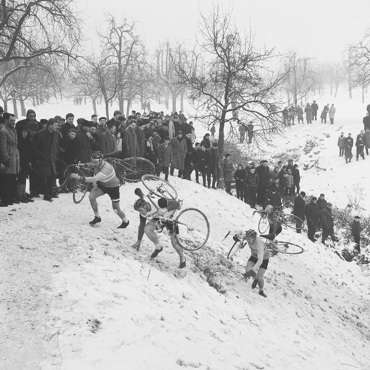 NK Cyclocross Elsloo 1963 9